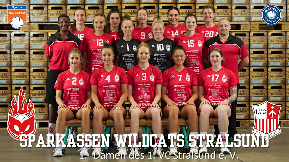 Sparkassen Wildcats Stralsund 2025/26