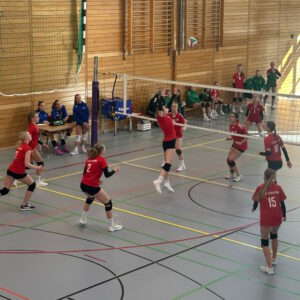 Impressionen vom Spieltag (Foto: Christian Nürnberg)