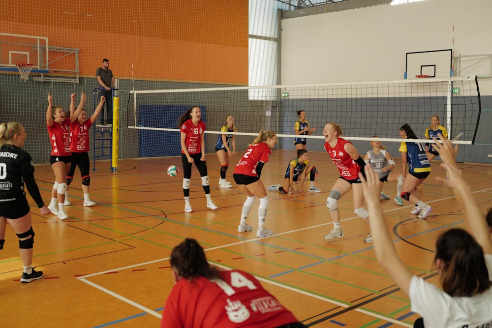 Die Sparkassen Wildcats Stralsund qualifizieren sich für den Regionalpokal