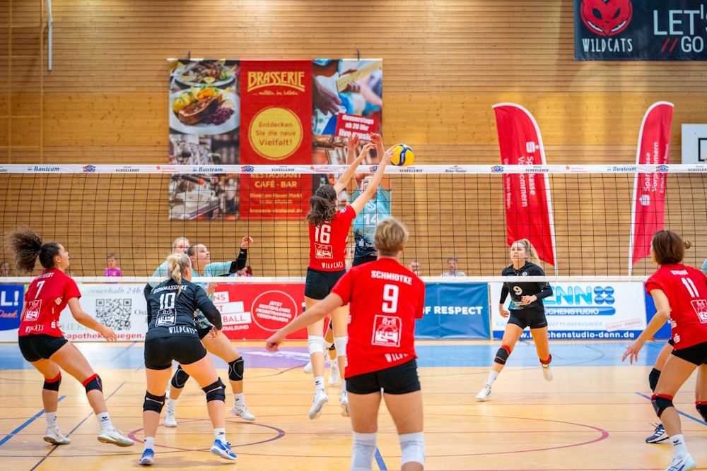 Zurück in die Erfolgsspur