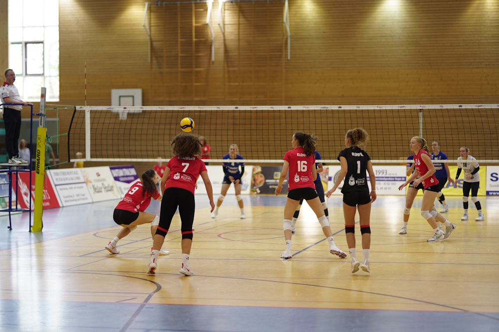 Sparkassen Wildcats streben den ersten Heimsieg an